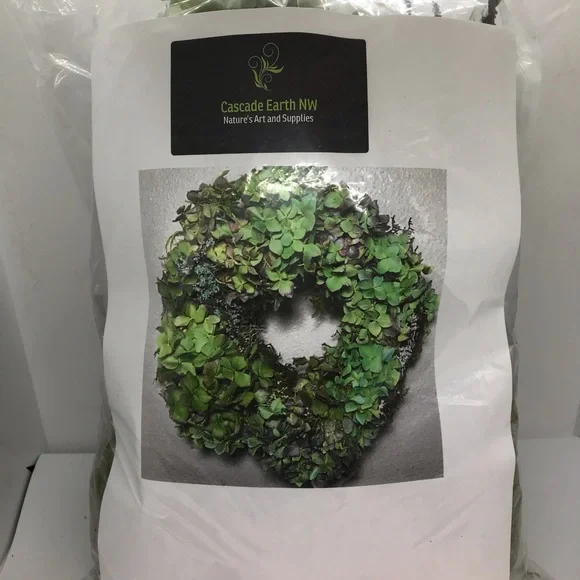 Easy DIY Dried Hydrangea Moss & Lichen Wreath Kit - Picture 3 of 3